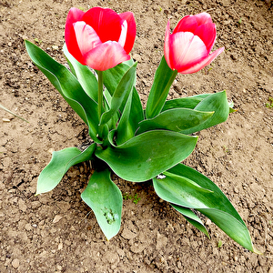 Photo7.jpg